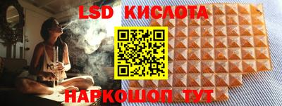 мдпв Гусев