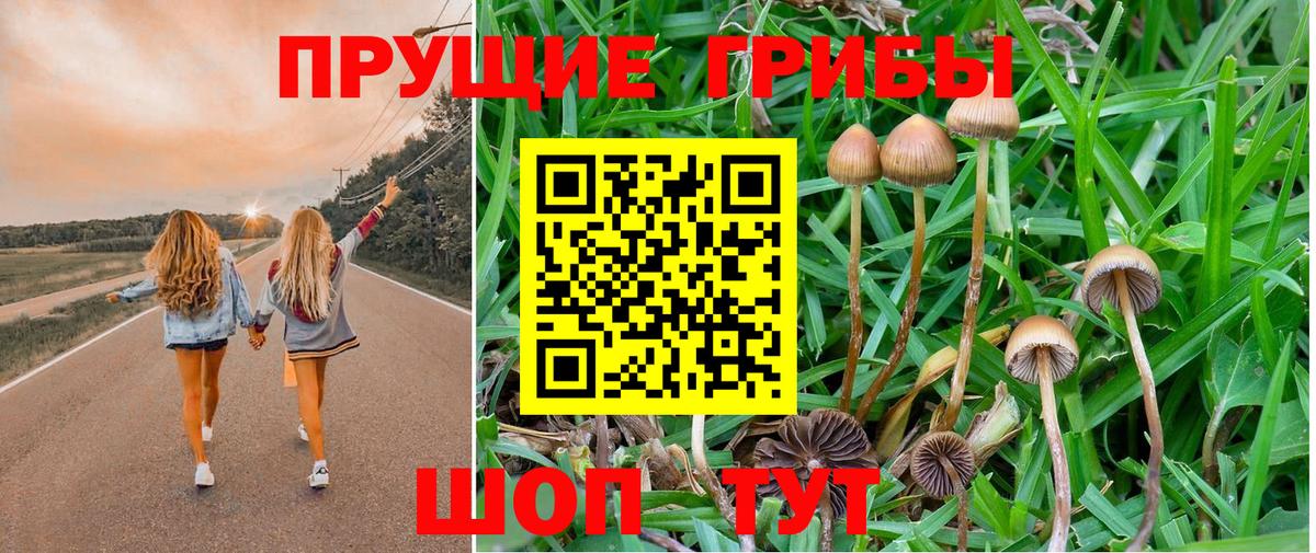 Галлюциногенные грибы мухоморы Карабулак